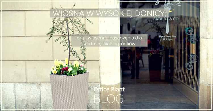 WOffice Plant Blog_wiosenne donice 2017