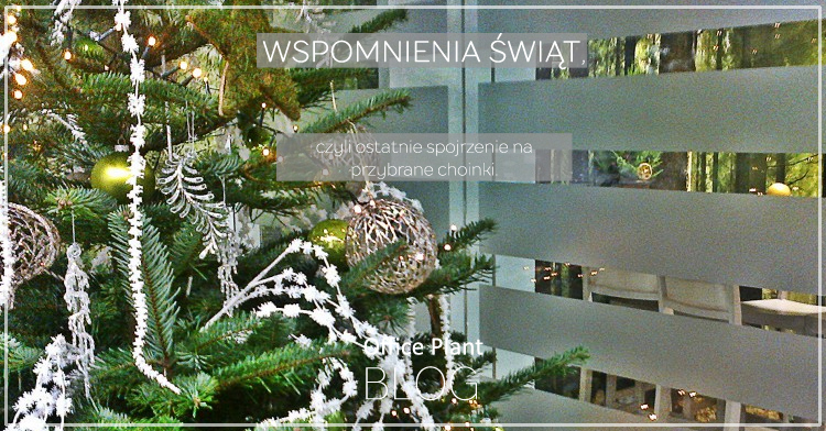 Office Plant Blog_świąteczne wspomnienia choinki Kraków 2016 dekoracje do biur 