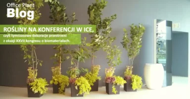 ROŚLINY NA KONFERENCJI.