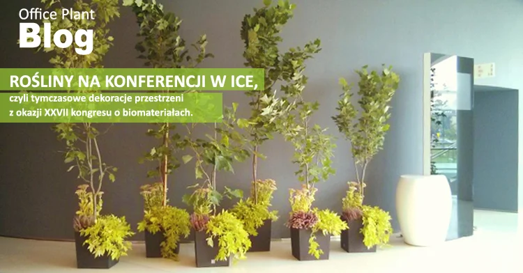 ROŚLINY NA KONFERENCJI.