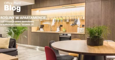 ROŚLINY W BUTIKOWYM HOTELU.