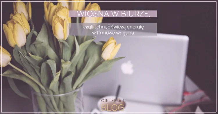 5 SPOSOBÓW NA WIOSENNE BIURO.