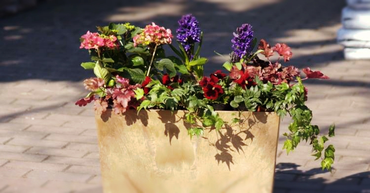 OP_Blog_wiosna w pojemnikach