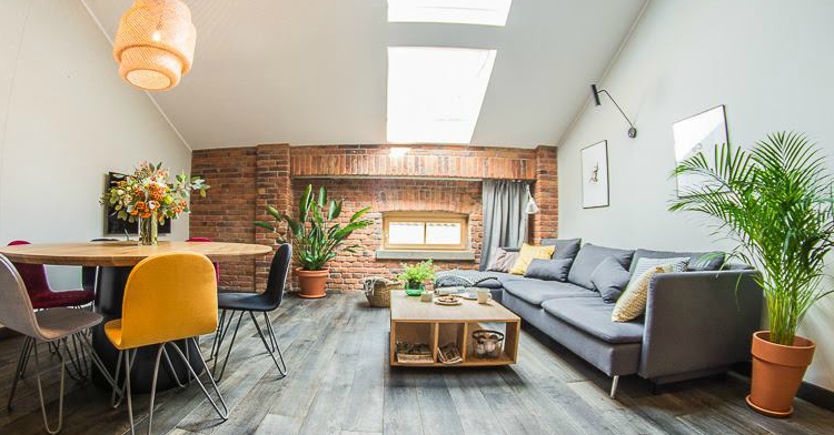 Office Plant Blog_rośliny w butikowym hotelu Stradom 15 Fot. Mlodzikova