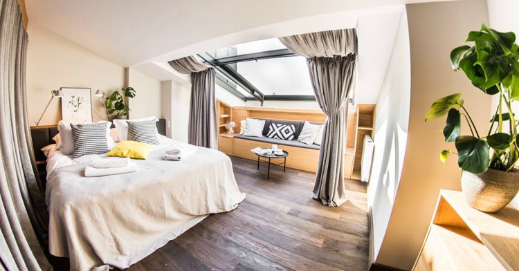 Office Plant Blog_rośliny w butikowym hotelu Stradom 15 Fot. Mlodzikova