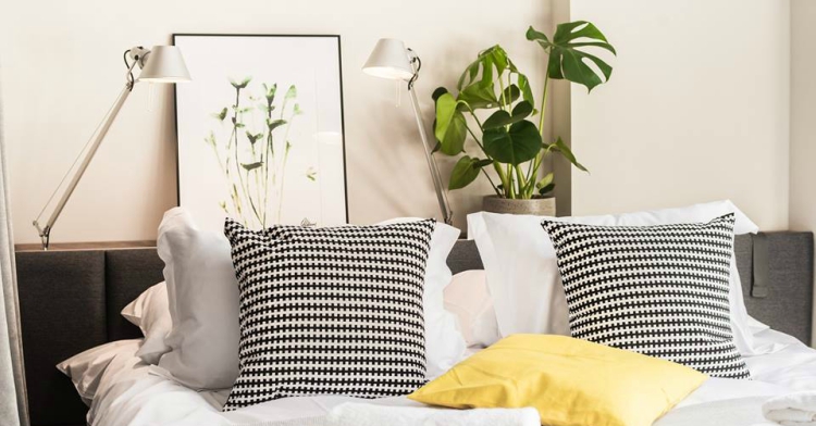 Office Plant Blog_rośliny w butikowym hotelu Stradom 15 Fot. Mlodzikova