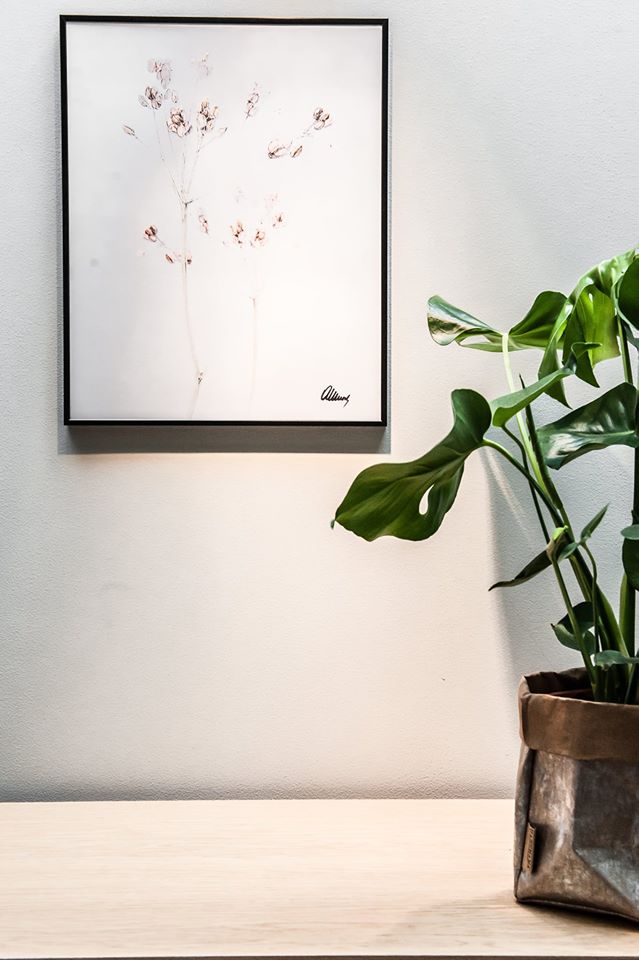 Office Plant Blog_rośliny w butikowym hotelu Stradom 15 Fot. Mlodzikova