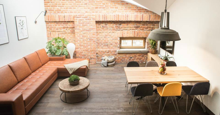 Office Plant Blog_rośliny w butikowym hotelu Stradom 15 Fot. Mlodzikova