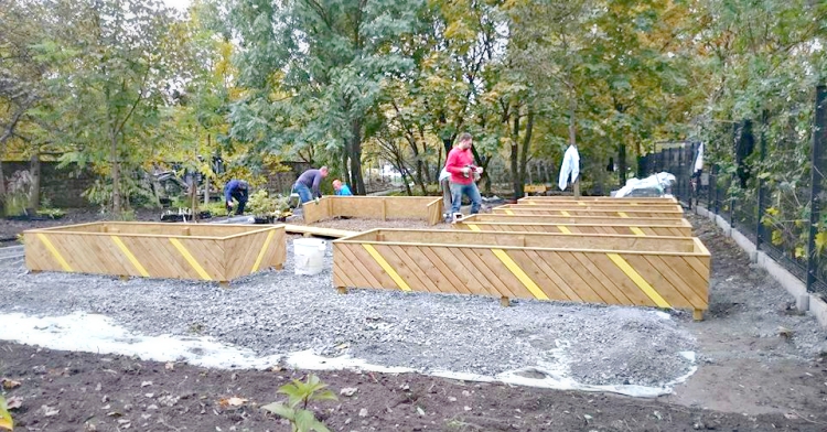 Office Plant Blog_ogród osiedlowy Kraków Prądnik