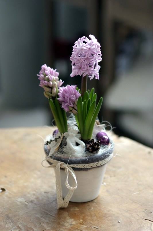 Office Plant Blog_ święta na różowo pastelowe dodatki bożonarodzeniowe