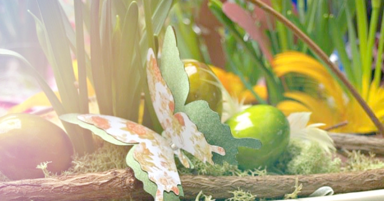 157031_510768075647923_389845129_n