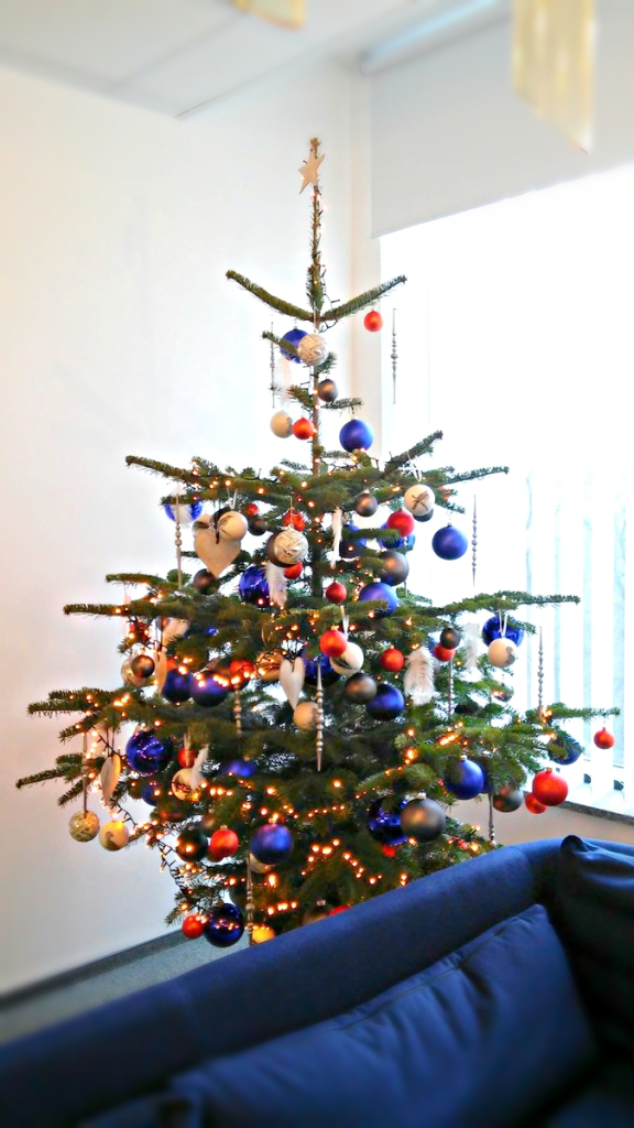 Office Plant Blog_świąteczne wspomnienia choinki Kraków 2016 dekoracje do biur