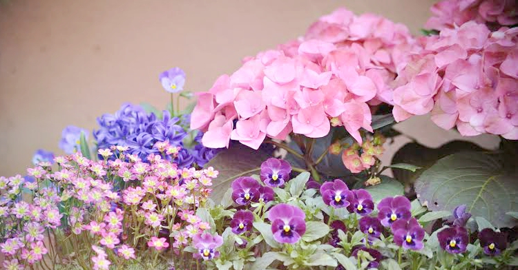 OP_Blog_Skrzynie kwiatowe wiosna 2016 ogródek gastronomiczny Kraków 