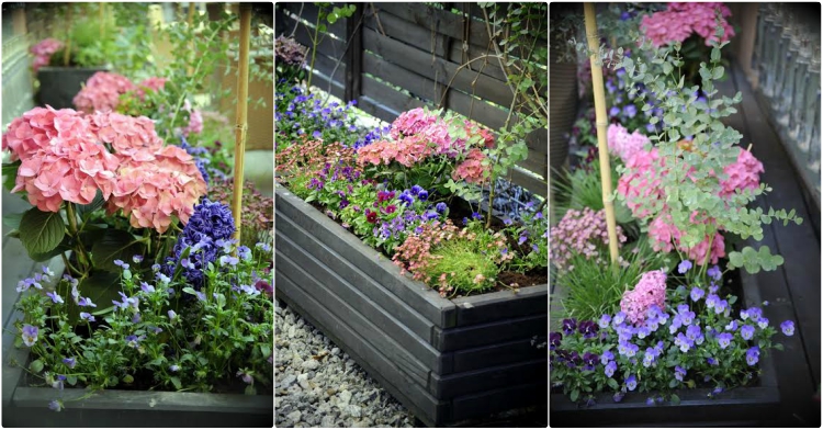 OP_Blog_Skrzynie kwiatowe wiosna 2016 ogródek gastronomiczny Kraków 