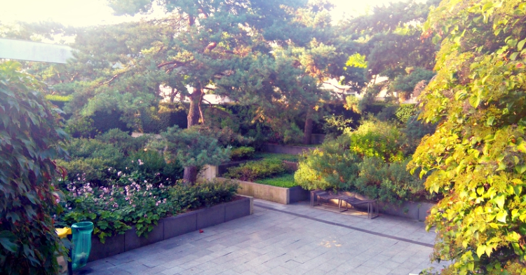 officeplant_blog_park-andre-citroen