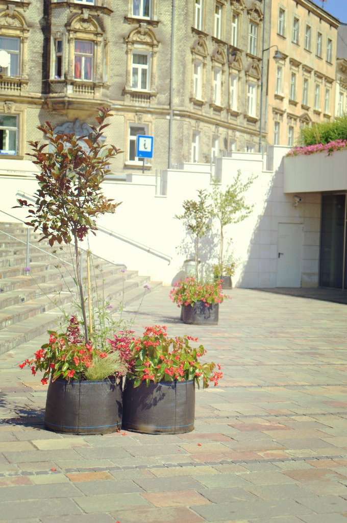 ogrodowo pod Wawelem Office Plant Kraków Powiśle Metaforma 