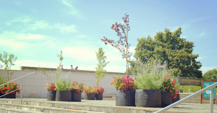 ogrodowo pod Wawelem Office Plant Kraków Powiśle Metaforma 