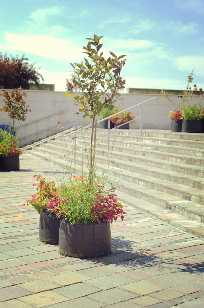 ogrodowo pod Wawelem Office Plant Kraków Powiśle Metaforma 