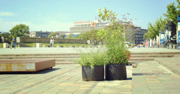 ogrodowo pod Wawelem Office Plant Kraków Powiśle Metaforma 