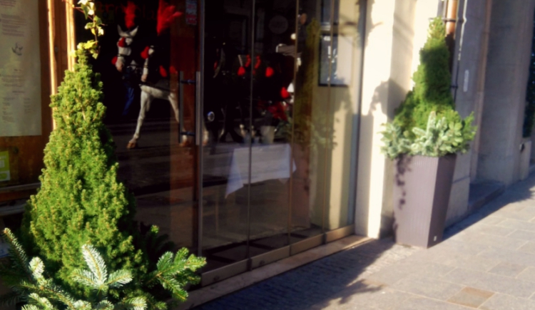 zimozielone girlandy restauracje kraków