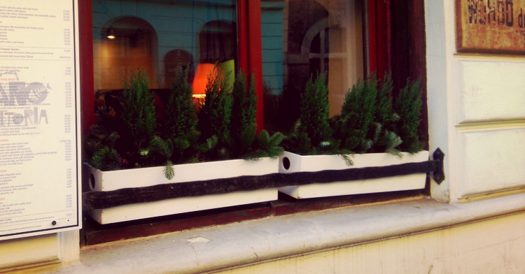 zimozielone parapety ZIELONE PARAPETY ZIMĄ