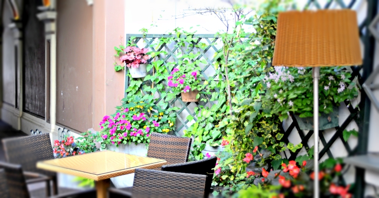 Office Plant Blog_kwietniki ścienne Kraków 