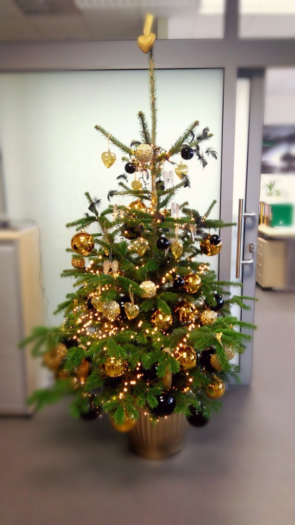 Office Plant Blog_świąteczne wspomnienia choinki Kraków 2016 dekoracje do biur