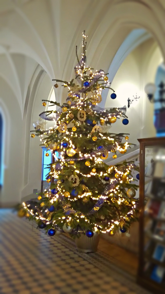 Office Plant Blog_świąteczne wspomnienia choinki Kraków 2016 dekoracje do biur