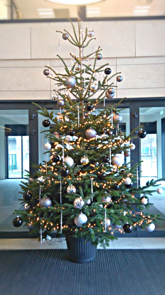 Office Plant Blog_świąteczne wspomnienia choinki Kraków 2016 dekoracje do biur