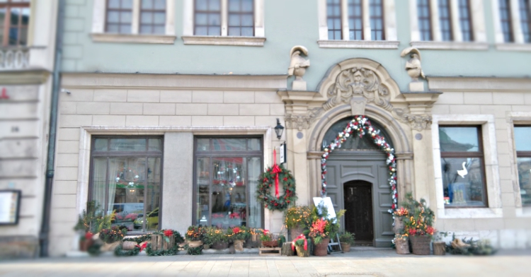 Office Plant Blog_świąteczne wspomnienia Szara Gęś Kraków 2016