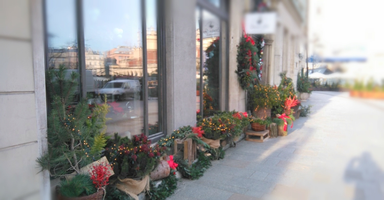 Office Plant Blog_świąteczne wspomnienia Szara Gęś Kraków 2016