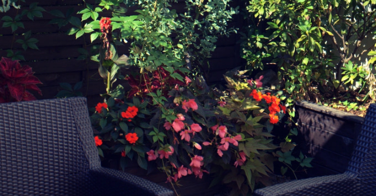 ogródki kawiarniane kraków 2015 realizacje office plant ogród łobzów