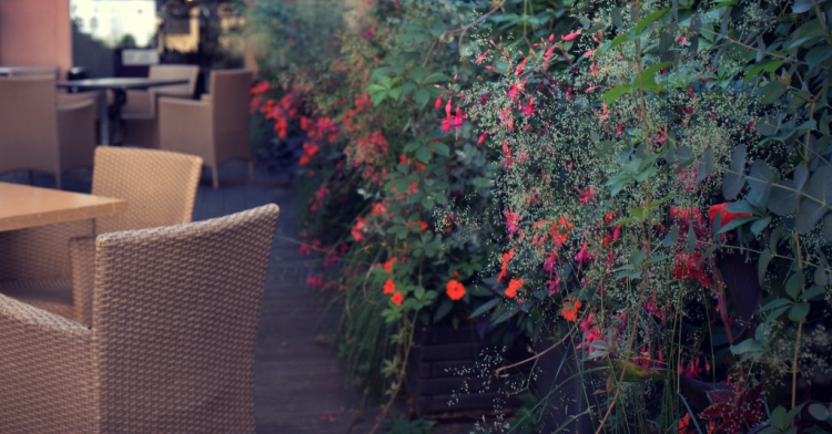 ogródki kawiarniane kraków 2015 realizacje office plant ogród łobzów