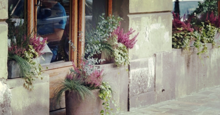 JESIENNE KOMPOZYCJE W POJEMNIKACH ogródki gastronomiczne kwiaty kraków