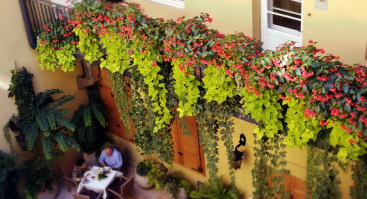 Office Plant Blog_ukwiecone krużganki Kraków