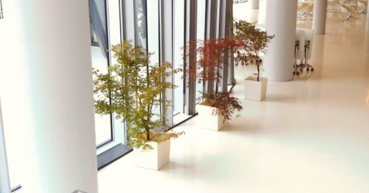 rośliny na konferencji ICE ESB 2015 wypożyczalnia roślin kraków 