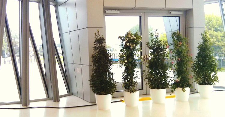 rośliny na konferencji ICE ESB 2015 wypożyczalnia roślin kraków