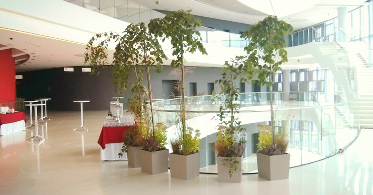 rośliny na konferencji ICE ESB 2015 wypożyczalnia roślin kraków