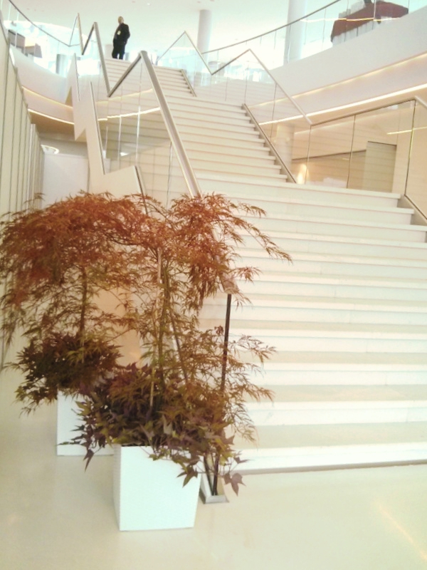 rośliny na konferencji ICE ESB 2015 wypożyczalnia roślin kraków