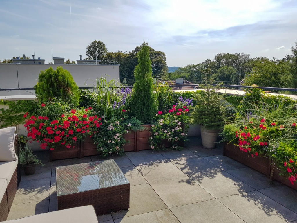 LRM_EXPORT_20180812_160526