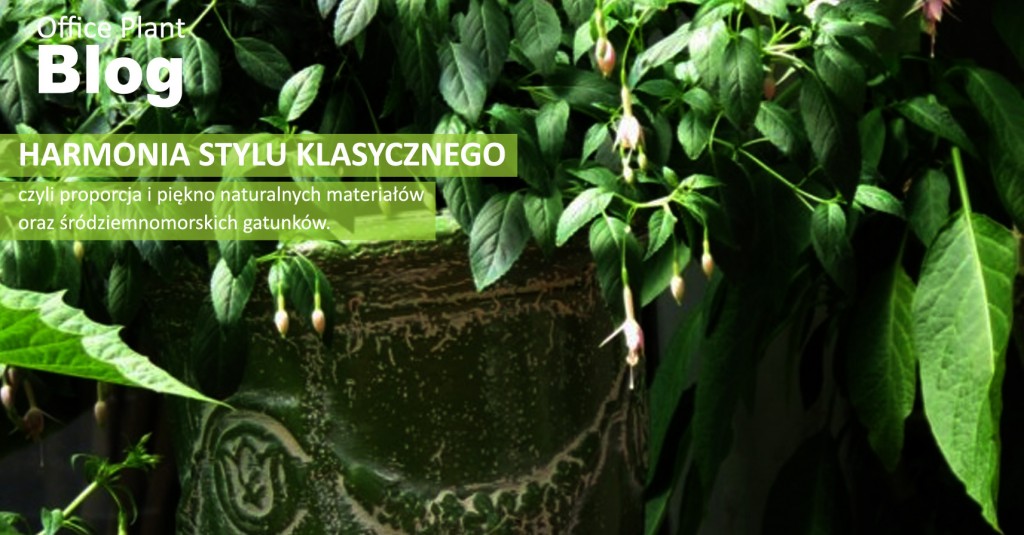 Office Plant_Blog_zieleń do wnętrz w stylu klasycznym klasyczna zieleń Kraków Autor: Corinna Frączek