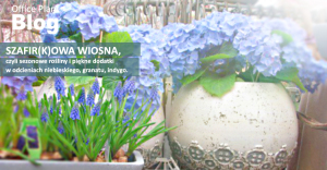 OP_Blog_Szafirowa wiosna