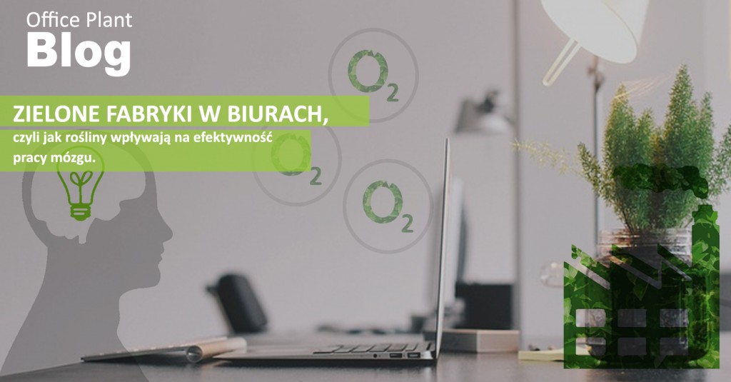 OP_Blog_Zielone Biuro