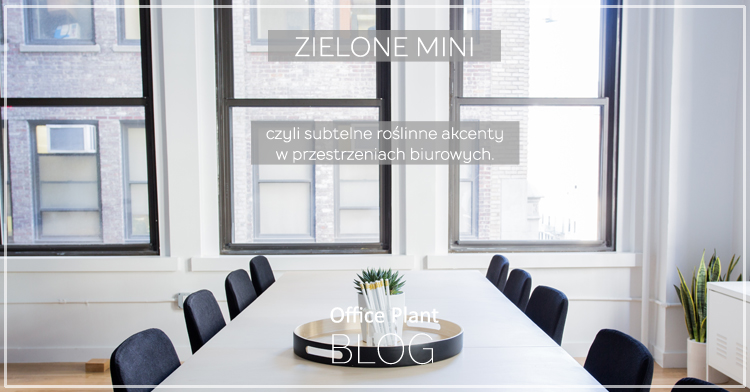 Office Plant_Blog_Rośliny biurkowe na biurko Autor: Corinna Frączek
