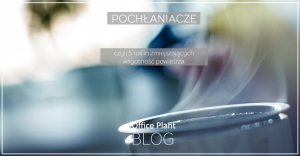 OP_Blog_Zielone pochlaniacze