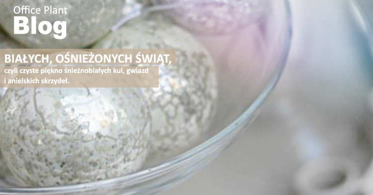OP_Blog_biale swieta ŚWIĄTECZNE DEKORACJE CZ.3: NA BIAŁO.
