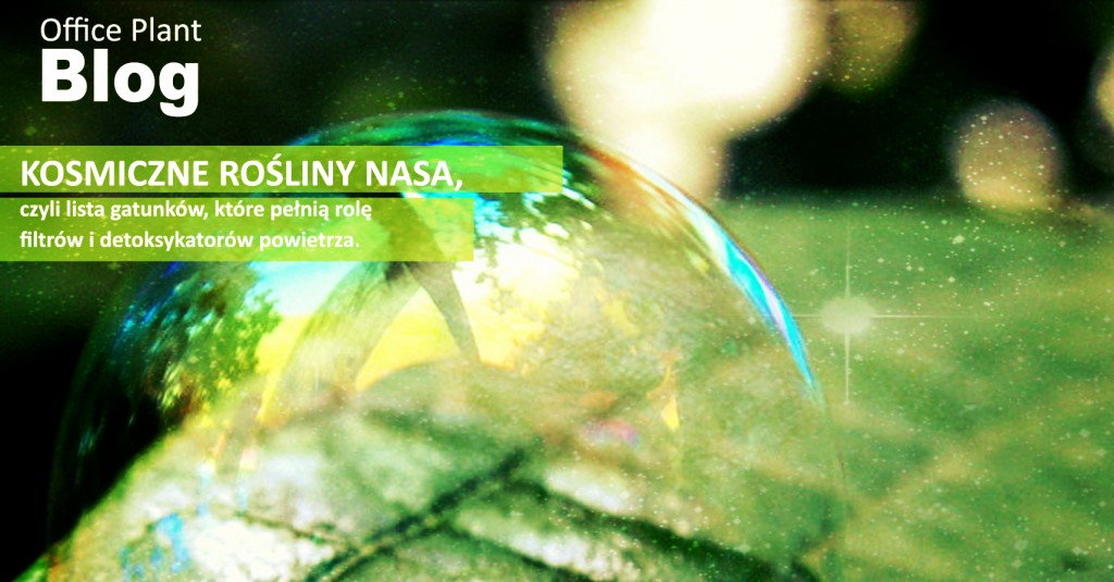OP_Blog_nasa kosmiczne rośliny oczyszczające powietrze Corinna Frączek