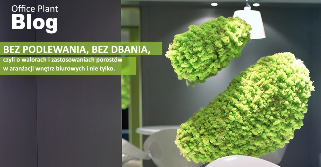 OP_Blog_porost bez podlewania przepis na zieleń Autor: Corinna Frączek