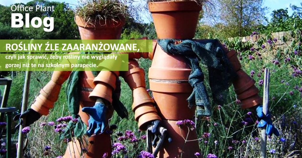 Office Plant_Blog_rosliny zle zaaranzowane ogrodowe błędy ogrodowe koszmarki Autor: Corinna Frączek