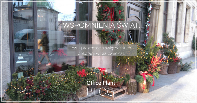 Office Plant Blog_świąteczne wspomnienia Szara Gęś Kraków 2016